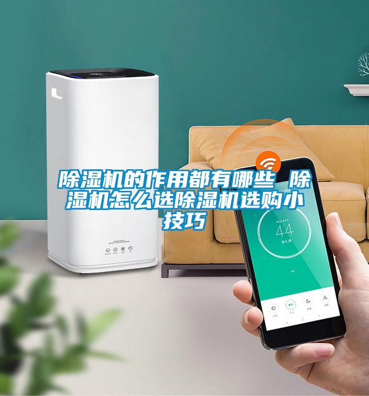欧美黄色电影在线播放 除湿机的作用都有哪些 除湿机怎么选除湿机选购小技巧