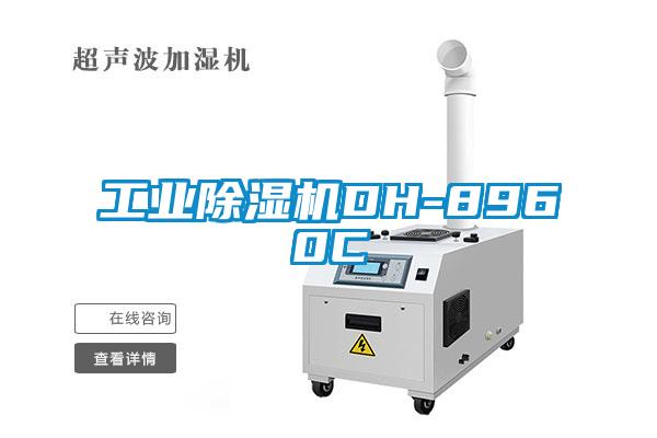 欧美成色手机在线观看 工业除湿机DH-8960C