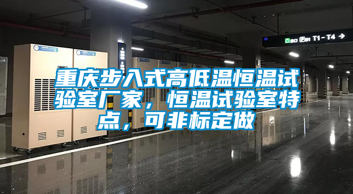 欧美黄色电影在线播放 重庆步入式高低温恒温试验室厂家，恒温试验室特点，可非标定做