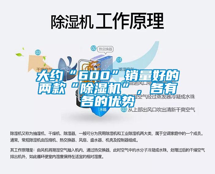 欧美成色手机在线观看 大约“600”销量好的两款“除湿机”，各有各的优势
