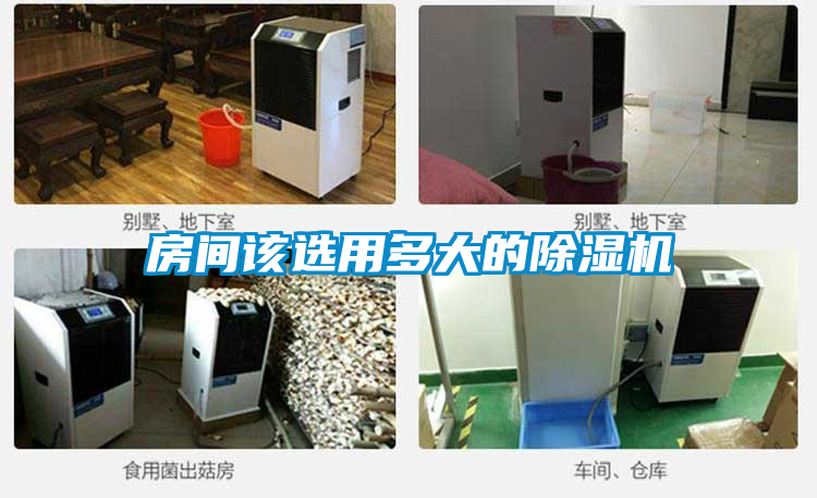 欧美黄色性爱视频网站 房间该选用多大的除湿机