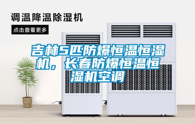 欧美黄色电影在线播放 吉林5匹防爆恒温恒湿机，长春防爆恒温恒湿机空调