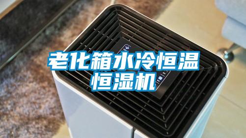 欧美黄色性爱视频网站 老化箱水冷恒温恒湿机