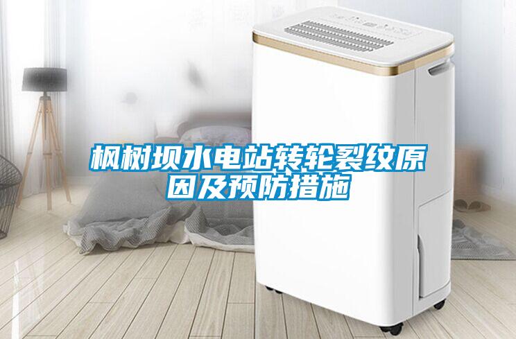 欧美黄色电影在线播放 枫树坝水电站转轮裂纹原因及预防措施