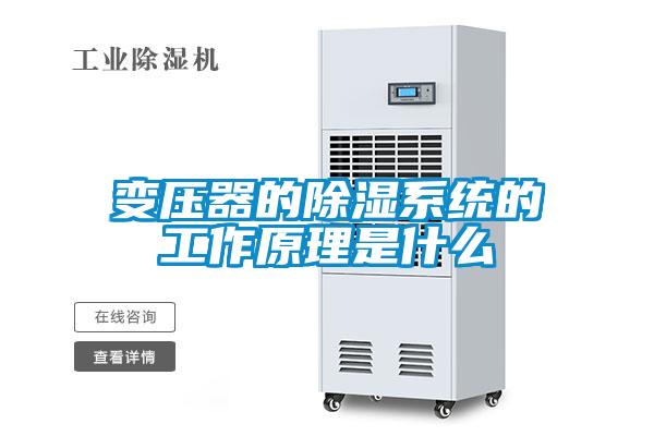 欧美成色手机在线观看 变压器的除湿系统的工作原理是什么