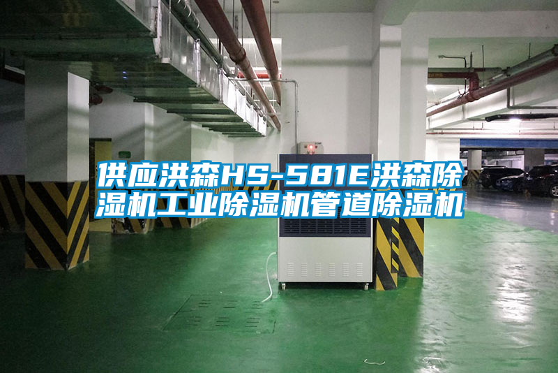 欧美成色手机在线观看 供应洪森HS-581E洪森除湿机工业除湿机管道除湿机