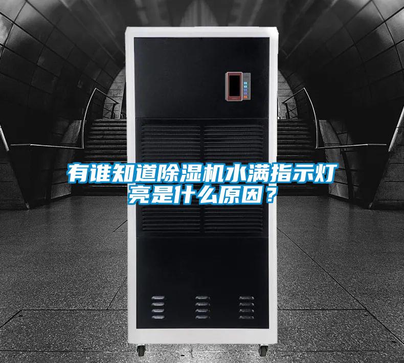 欧美成色手机在线观看 有谁知道除湿机水满指示灯亮是什么原因？