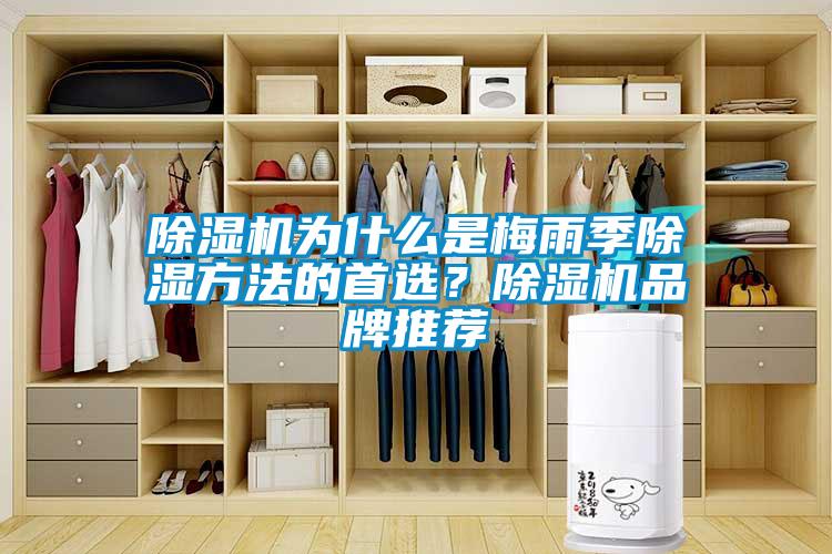 欧美黄色性爱视频网站 除湿机为什么是梅雨季除湿方法的首选？除湿机品牌推荐