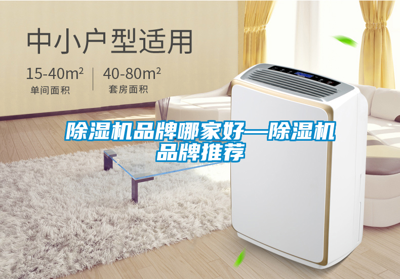 欧美黄色性爱视频网站 除湿机品牌哪家好—除湿机品牌推荐