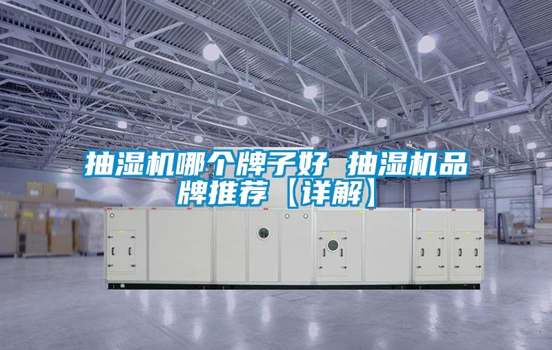 欧美黄色电影在线播放 抽湿机哪个牌子好 抽湿机品牌推荐【详解】