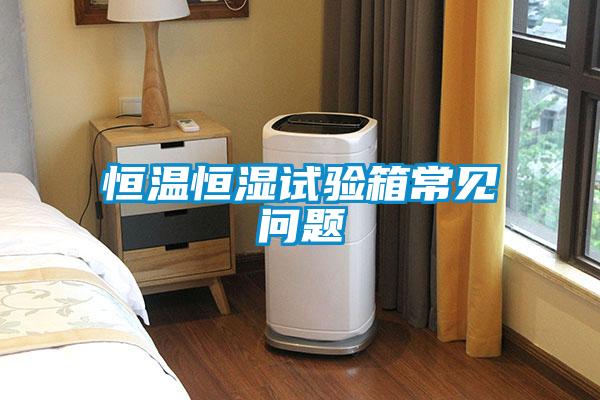 欧美黄色电影在线播放 恒温恒湿试验箱常见问题