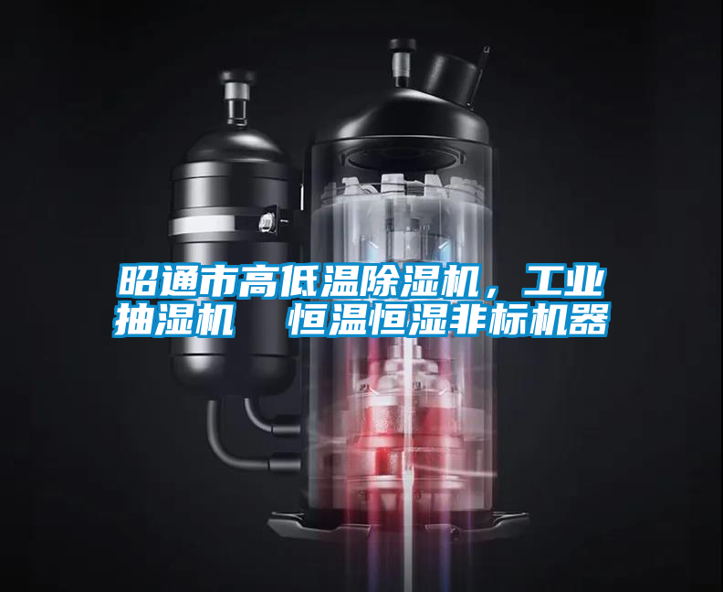 欧美黄色性爱视频网站 昭通市高低温除湿机，工业抽湿机  恒温恒湿非标机器