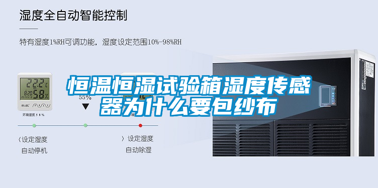 欧美黄色性爱视频网站 恒温恒湿试验箱湿度传感器为什么要包纱布