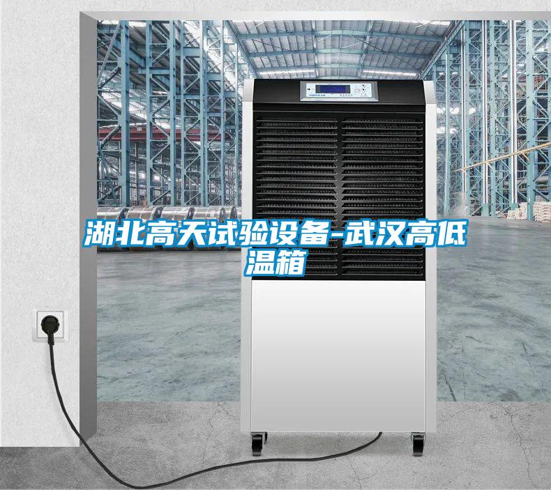 欧美黄色电影在线播放 湖北高天试验设备-武汉高低温箱