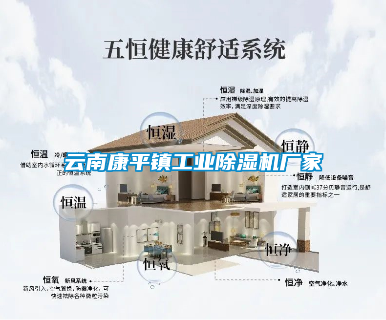 欧美黄色电影在线播放 云南康平镇工业除湿机厂家