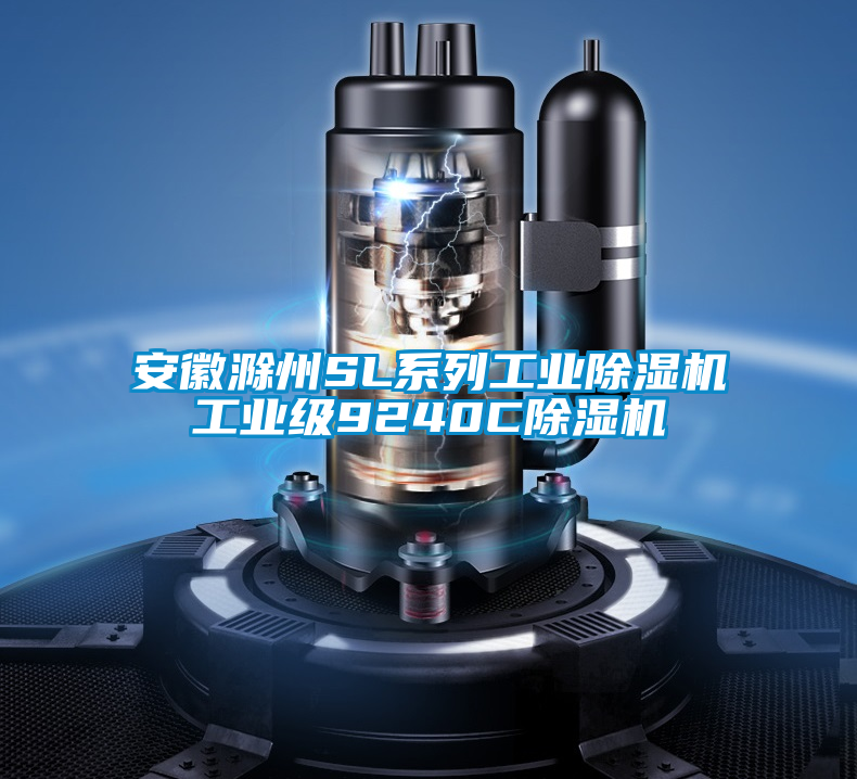 欧美黄色电影在线播放 安徽滁州SL系列工业除湿机工业级9240C除湿机