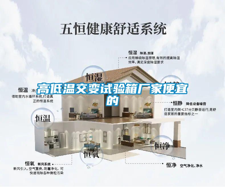 欧美黄色电影在线播放 高低温交变试验箱厂家便宜的