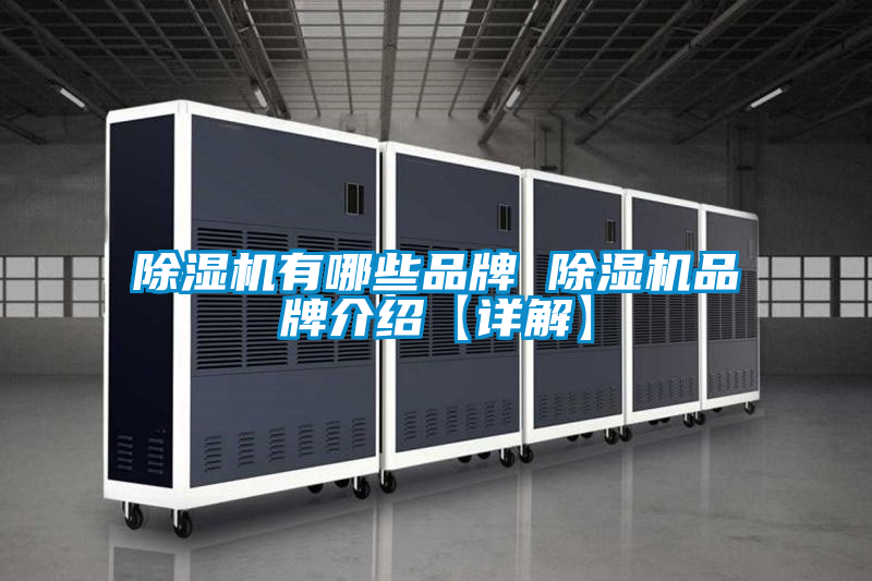 欧美成色手机在线观看 除湿机有哪些品牌 除湿机品牌介绍【详解】