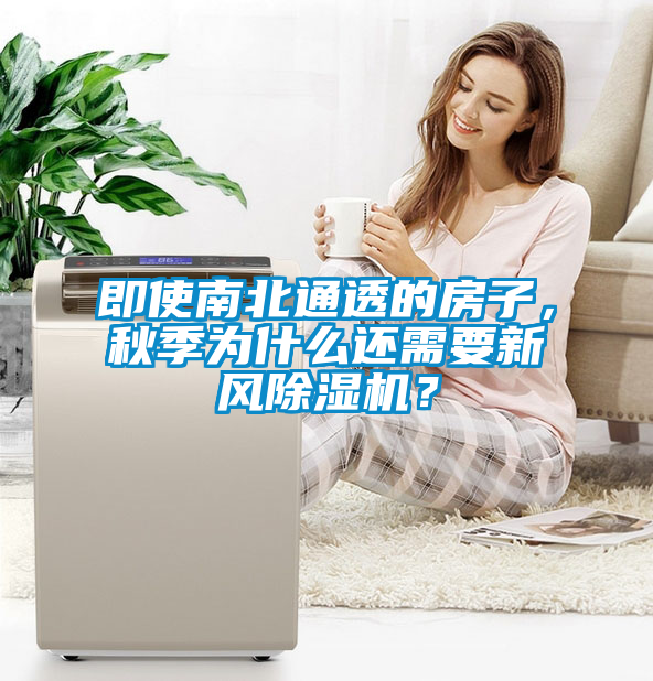 欧美黄色电影在线播放 即使南北通透的房子，秋季为什么还需要新风除湿机？