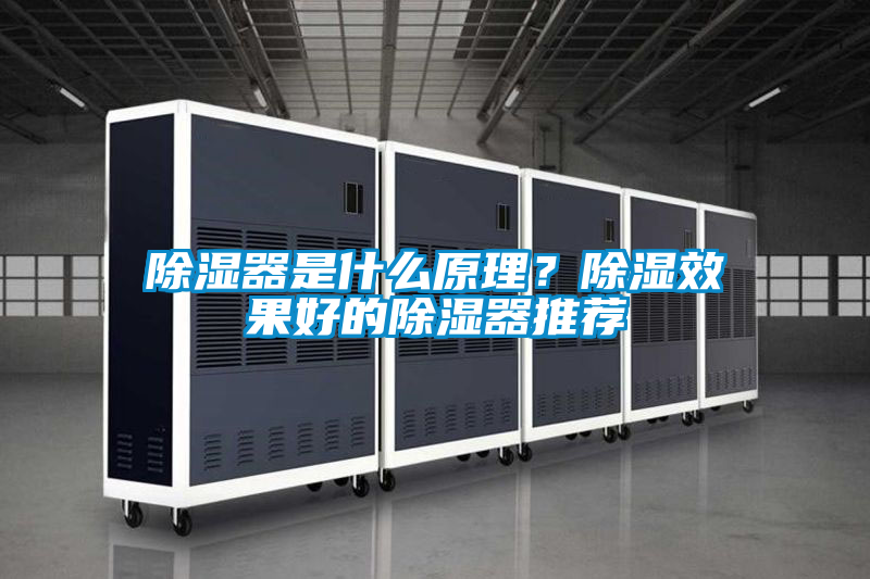 欧美黄色性爱视频网站 除湿器是什么原理？除湿效果好的除湿器推荐