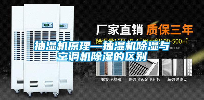 欧美黄色性爱视频网站 抽湿机原理—抽湿机除湿与空调机除湿的区别