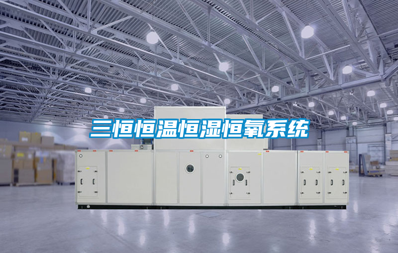 欧美黄色性爱视频网站 三恒恒温恒湿恒氧系统