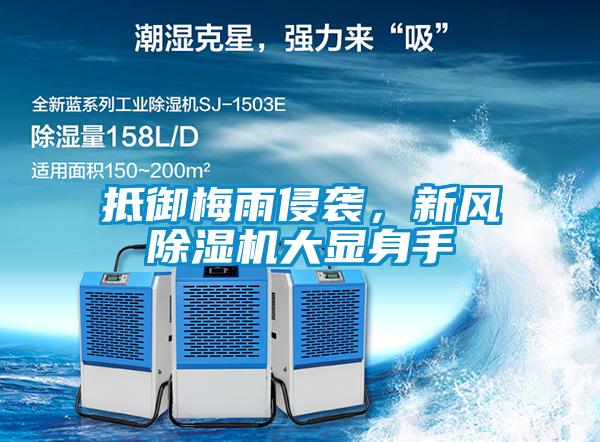 欧美黄色性爱视频网站 抵御梅雨侵袭，新风除湿机大显身手