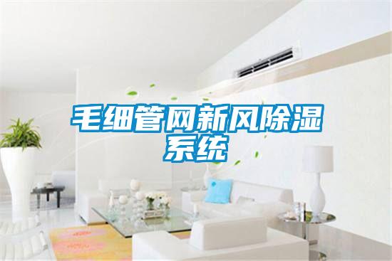欧美成色手机在线观看 毛细管网新风除湿系统