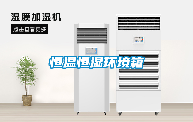 欧美黄色性爱视频网站 恒温恒湿环境箱