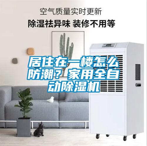 欧美成色手机在线观看 居住在一楼怎么防潮？家用全自动除湿机