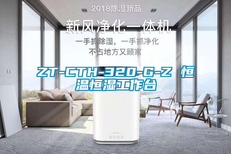 欧美成色手机在线观看 ZT-CTH-320-G-Z 恒温恒湿工作台