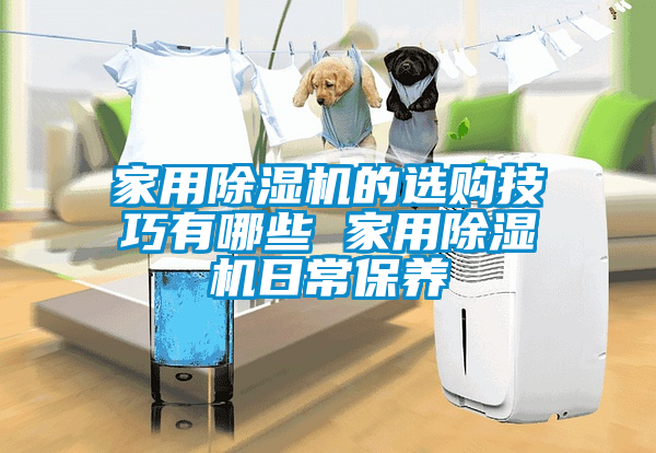 欧美黄色电影在线播放 家用除湿机的选购技巧有哪些 家用除湿机日常保养