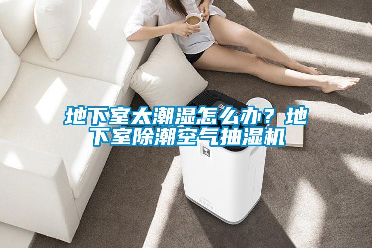 欧美成色手机在线观看 地下室太潮湿怎么办？地下室除潮空气抽湿机