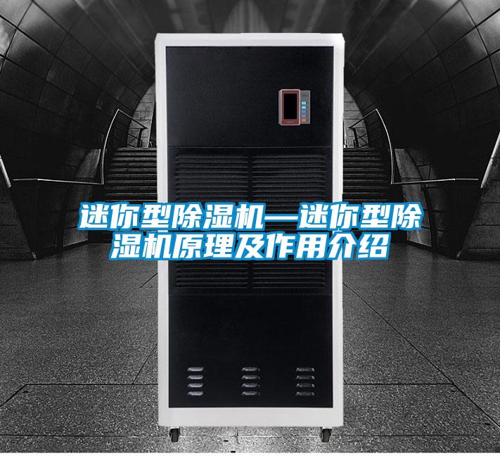 欧美成色手机在线观看 迷你型除湿机—迷你型除湿机原理及作用介绍