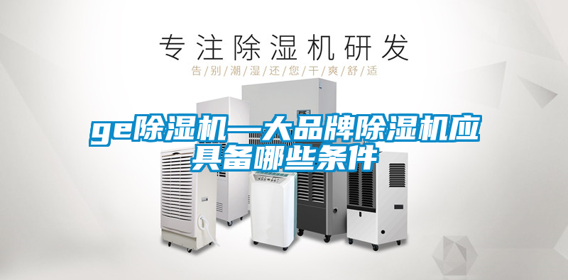 欧美黄色电影在线播放 ge除湿机—大品牌除湿机应具备哪些条件