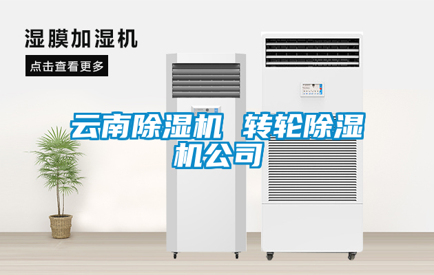 欧美黄色电影在线播放 云南除湿机 转轮除湿机公司