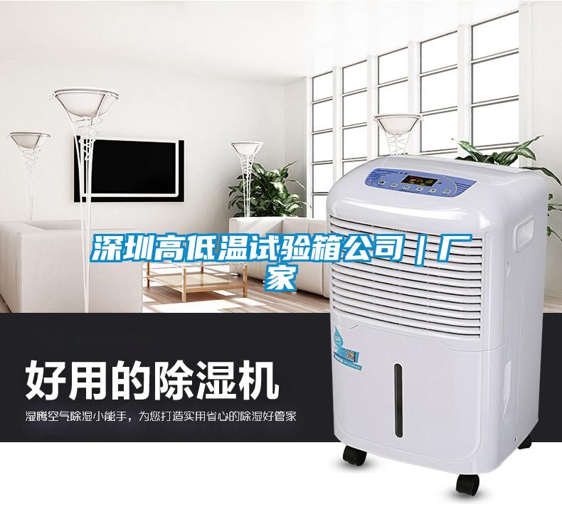 欧美黄色电影在线播放 深圳高低温试验箱公司｜厂家