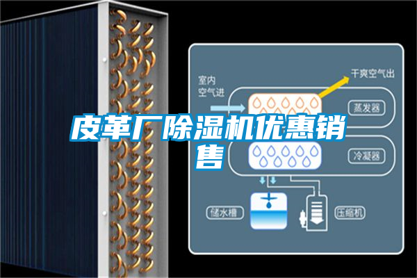 欧美黄色性爱视频网站 皮革厂除湿机优惠销售