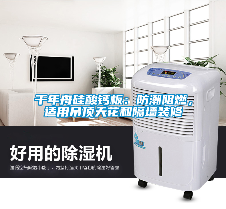 欧美黄色电影在线播放 千年舟硅酸钙板：防潮阻燃，适用吊顶天花和隔墙装修