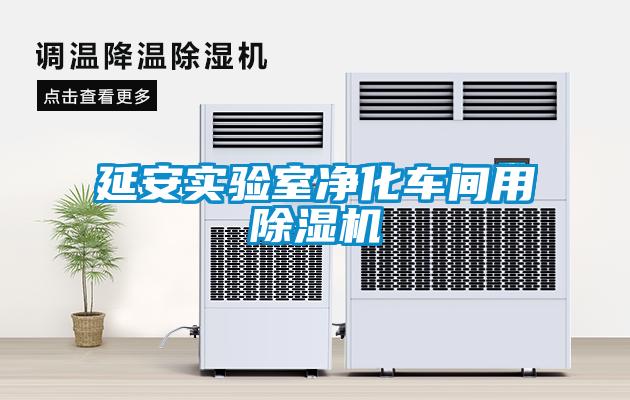 欧美黄色电影在线播放 延安实验室净化车间用除湿机