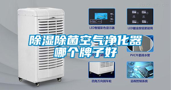 欧美黄色电影在线播放 除湿除菌空气净化器哪个牌子好