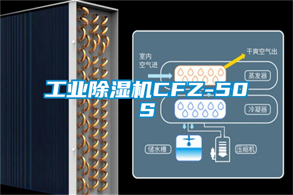 欧美黄色电影在线播放 工业除湿机CFZ-50S