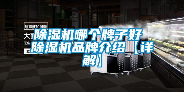 欧美黄色电影在线播放 除湿机哪个牌子好 除湿机品牌介绍【详解】