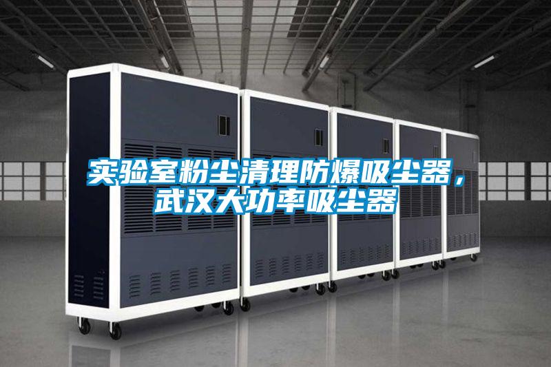 欧美黄色性爱视频网站 实验室粉尘清理防爆吸尘器，武汉大功率吸尘器