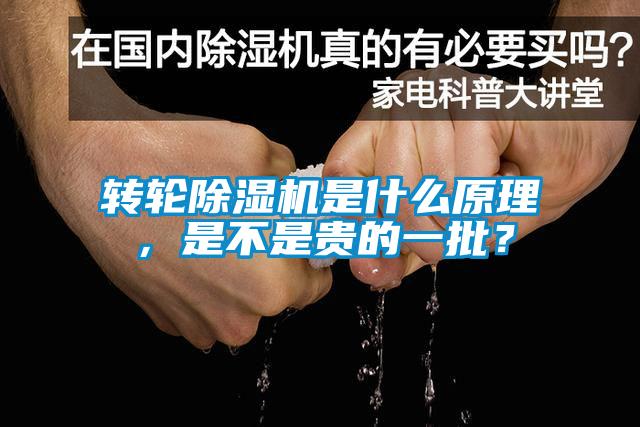 欧美黄色性爱视频网站 转轮除湿机是什么原理，是不是贵的一批？