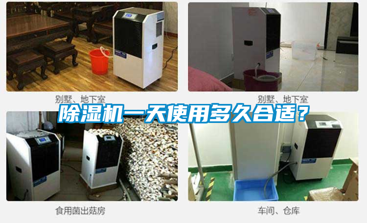 欧美成色手机在线观看 除湿机一天使用多久合适？