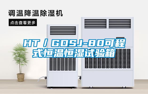 欧美黄色电影在线播放 HT／GDSJ-80可程式恒温恒湿试验箱