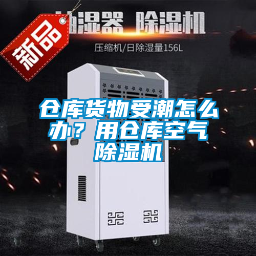 欧美黄色性爱视频网站 仓库货物受潮怎么办？用仓库空气除湿机