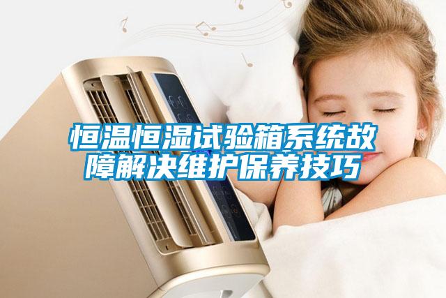 欧美成色手机在线观看 恒温恒湿试验箱系统故障解决维护保养技巧