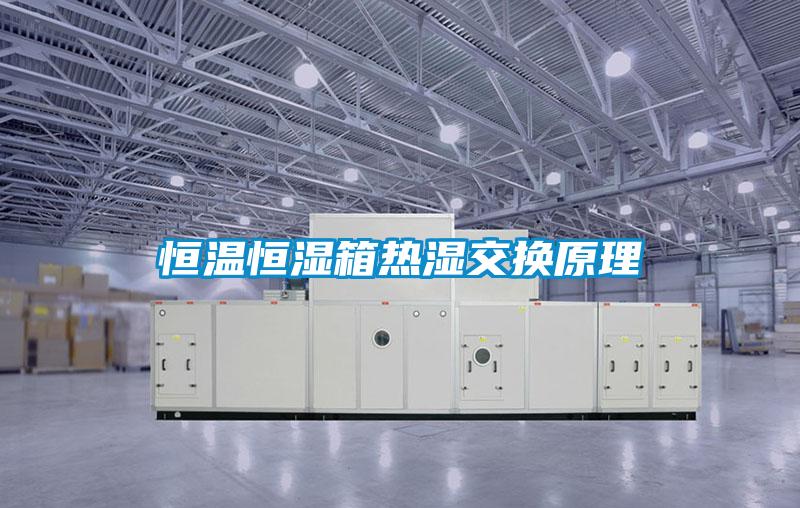 欧美黄色电影在线播放 恒温恒湿箱热湿交换原理
